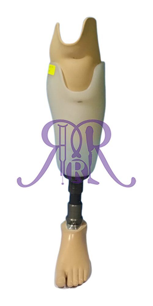 Prostheses - Transtibial-Prosthesis.png